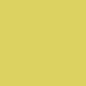 Liquitex Professional Spray Paint - Cadmium Yellow Light Hue #5