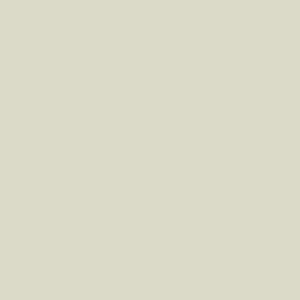 Liquitex Professional Spray Paint - Unbleached Titanium