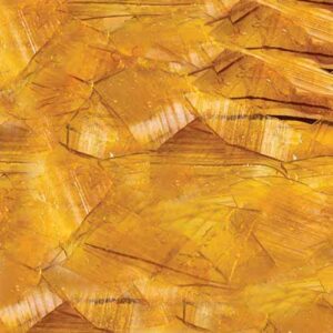 Shellac