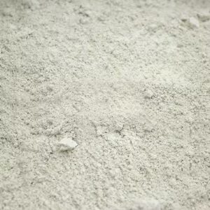 Diatomaceous Earth